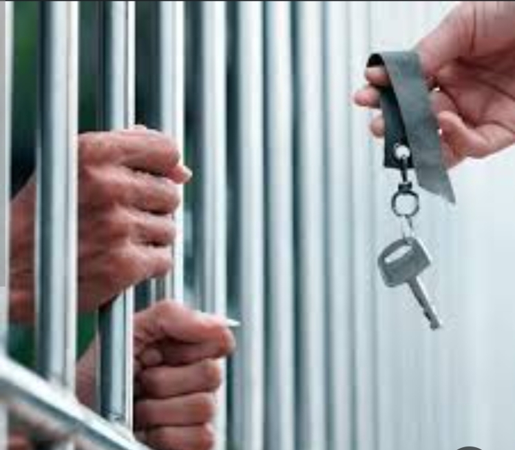 حکم جایگزین حبس_ برای متخلف قطع درختان ~در شیراز